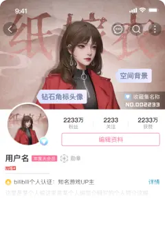 预览