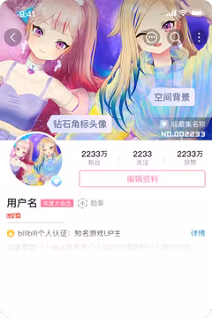 预览