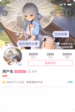 预览