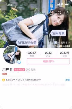 预览