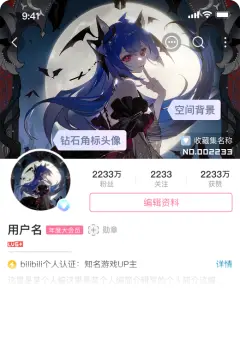 预览