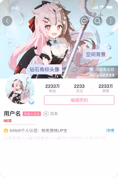 预览
