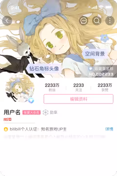 预览