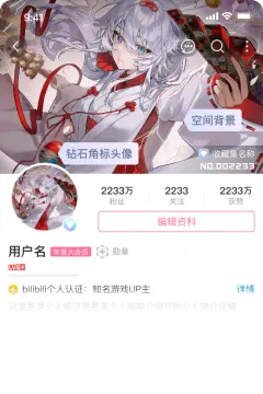 预览