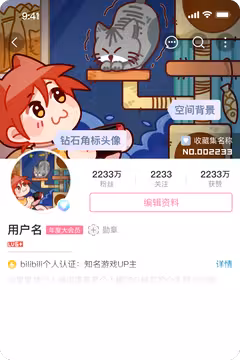 预览