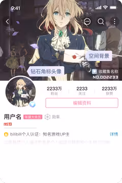 预览