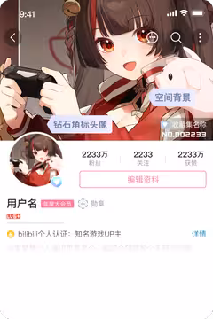 预览