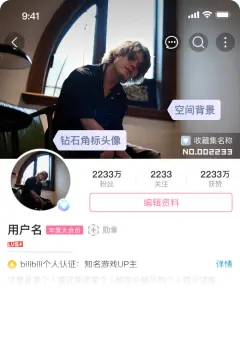 预览