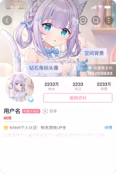 预览