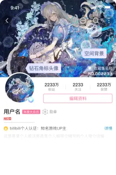 预览