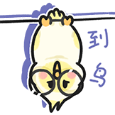 [菜鸟_到鸟]
