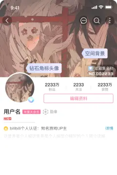 预览