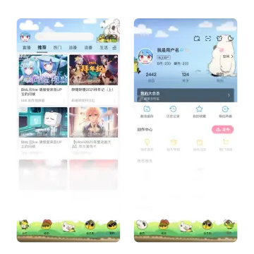 预览