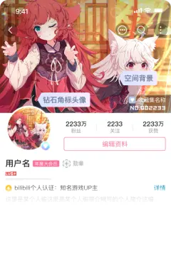 预览