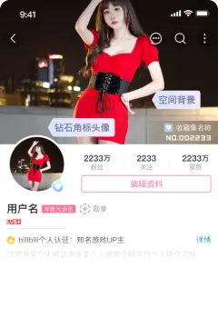 预览