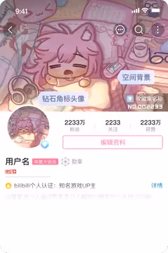 预览