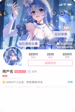 预览