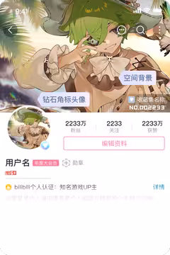 预览