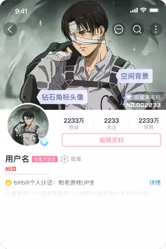 预览