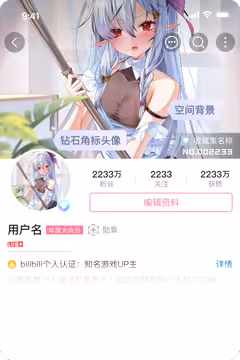 预览
