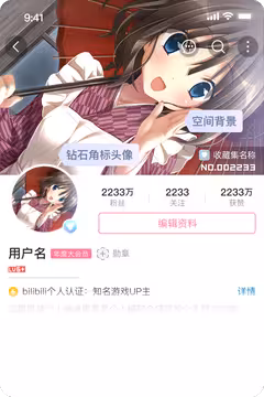 预览