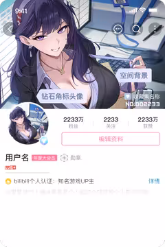 预览