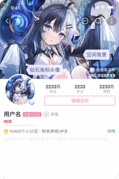 预览