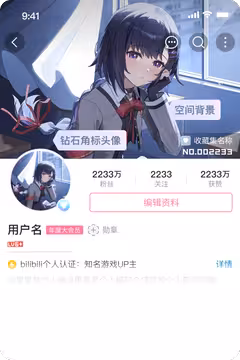预览