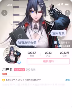 预览