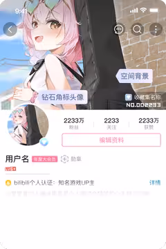 预览