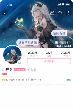 预览