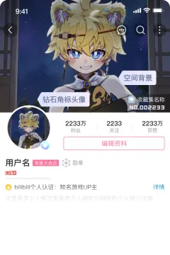 预览
