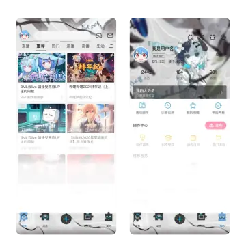 预览