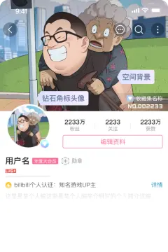 预览