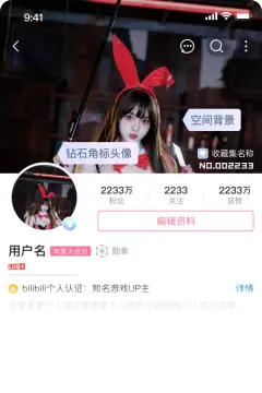 预览