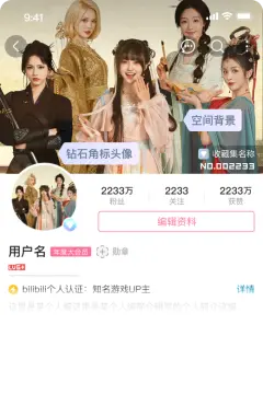 预览