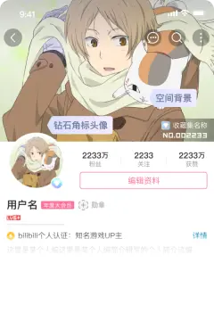 预览
