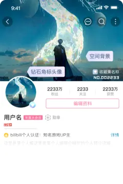 预览