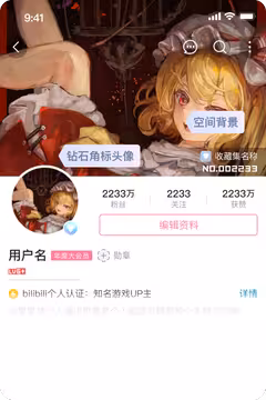 预览