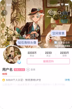 预览