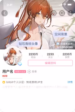 预览