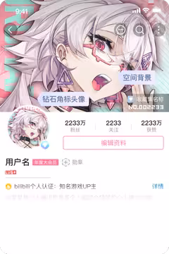 预览