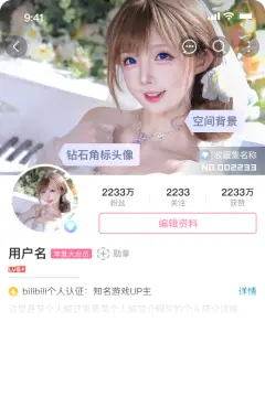 预览