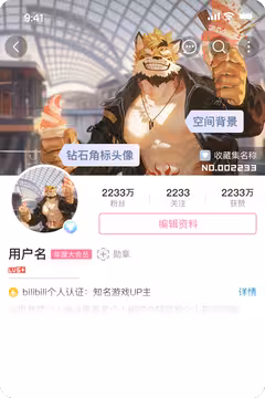 预览