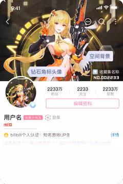 预览