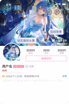 预览