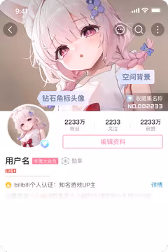 预览