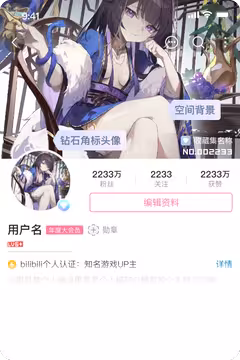 预览