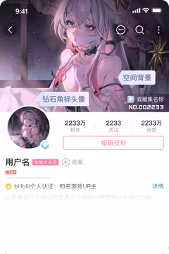 预览