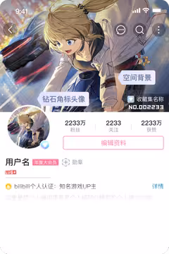 预览